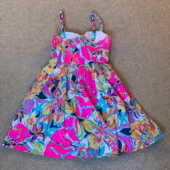 Lilly Pulitzer Fit and Flare Dress - Picture 3 of 6